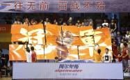 关于竞技场上掀起波澜壮阔，岁月静好不负期盼的信息